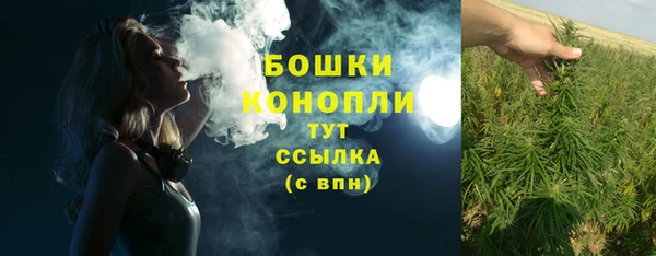 молекула духа Белокуриха
