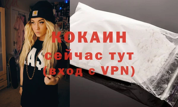 шишки Белоозёрский