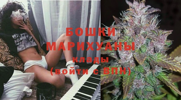 шишки Богородицк