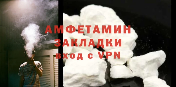 шишки Богородицк