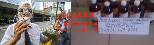 шишки Богородицк