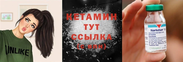 шишки Белоозёрский