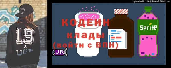 шишки Белоозёрский