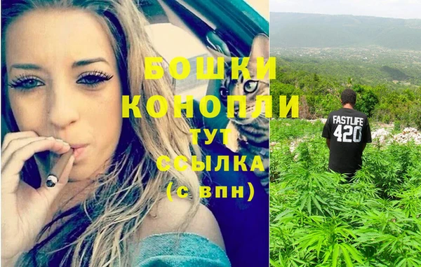 молекула духа Белокуриха