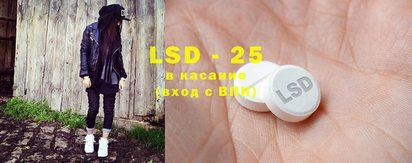 шишки Богородицк